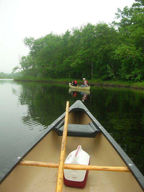 Early morning canoe trip